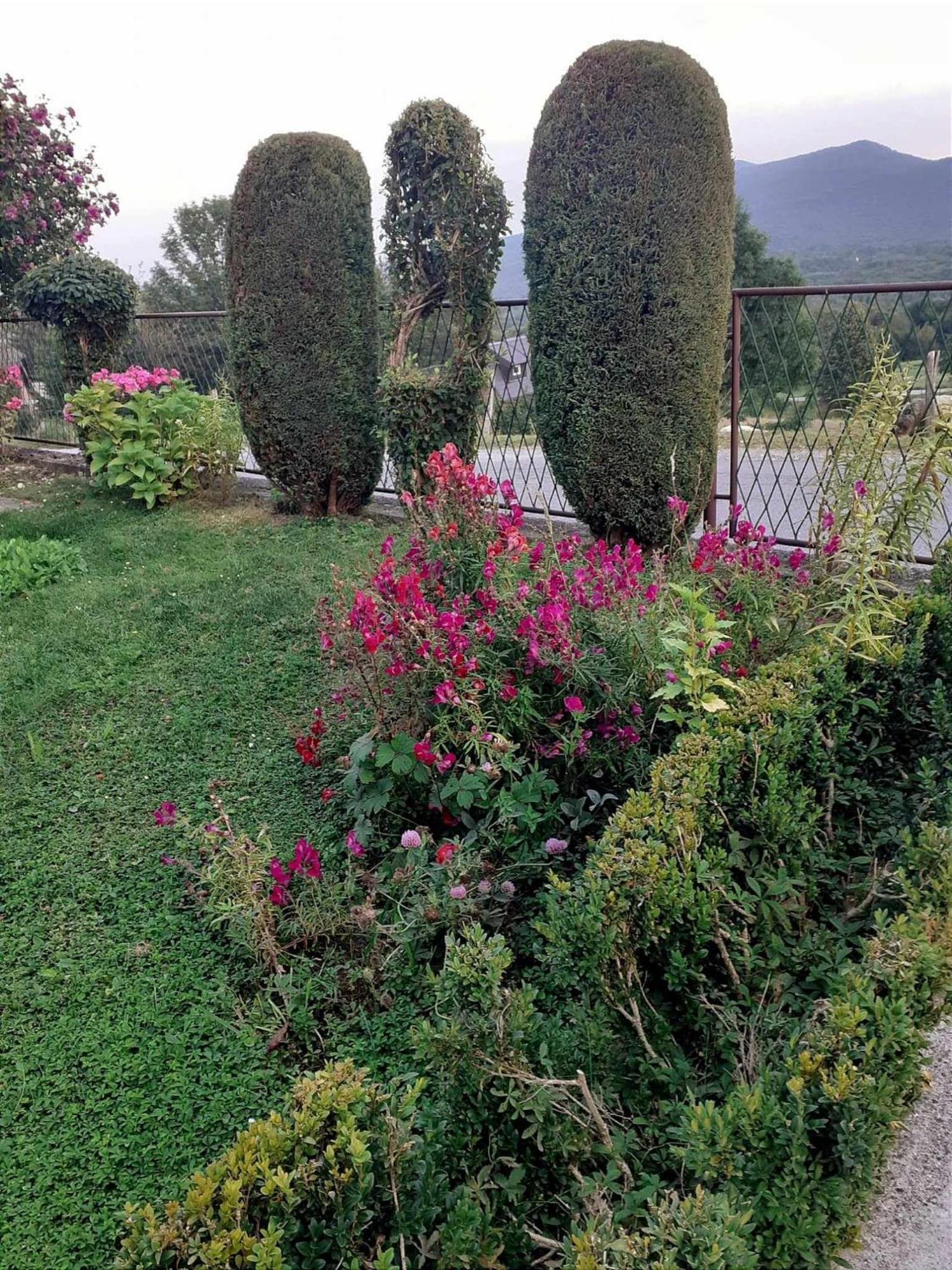 Guesthouse Milka Полянак Екстериор снимка